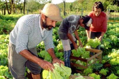 La agricultura familiar debe permanecer al centro de las políticas de erradicación del hambre en América Latina y el Caribe