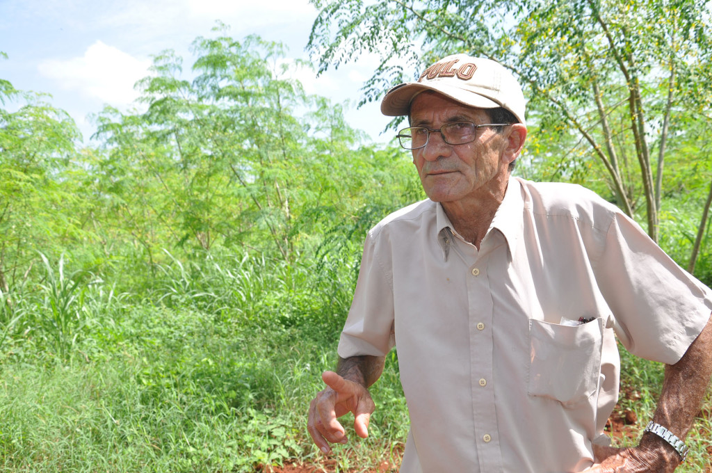 Gonzalo Pimentel Tabares