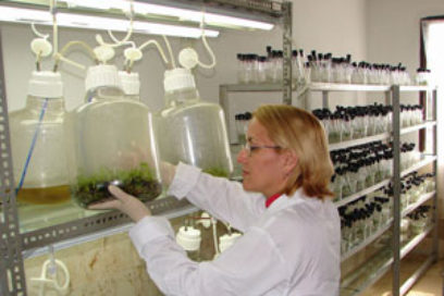 Inivit: Sembradores de  ciencia