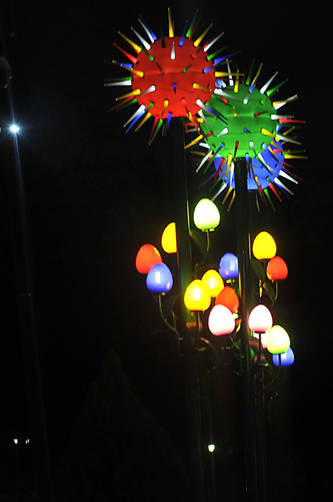 Foto: José R. Rodríguez Robleda