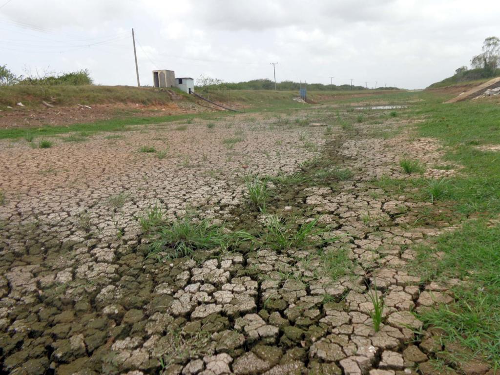 El canal magistral que conduce el líquido de los embalses a los campos continúa seco y muestra ya señales de deterioro, pues la hierba empieza a crecer en su interior. Foto: Eduardo González Martínez