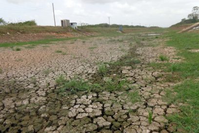 Cuando el arroz no se moja…