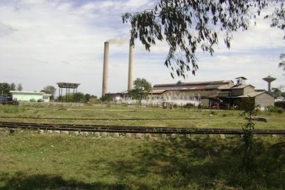 Protección, ¿por tiempo determinado?