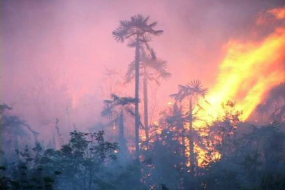 Combaten incendio forestal de grandes proporciones en Moa