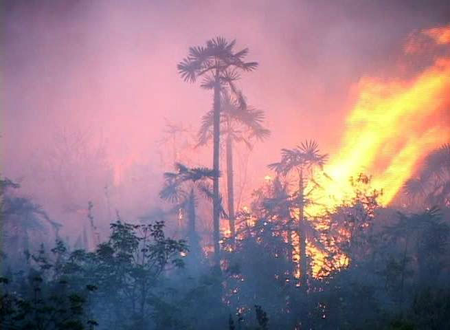 Foto: Alexudis Leyet.