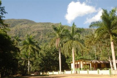 Regenerar el paisaje