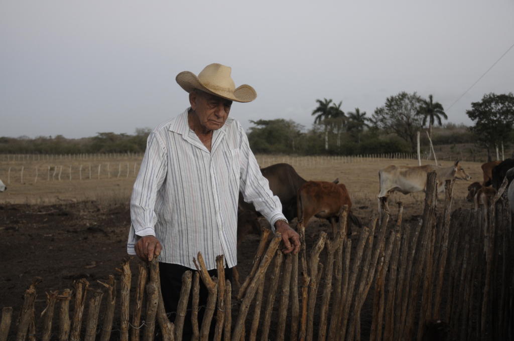 Foto: René Pérez Massola