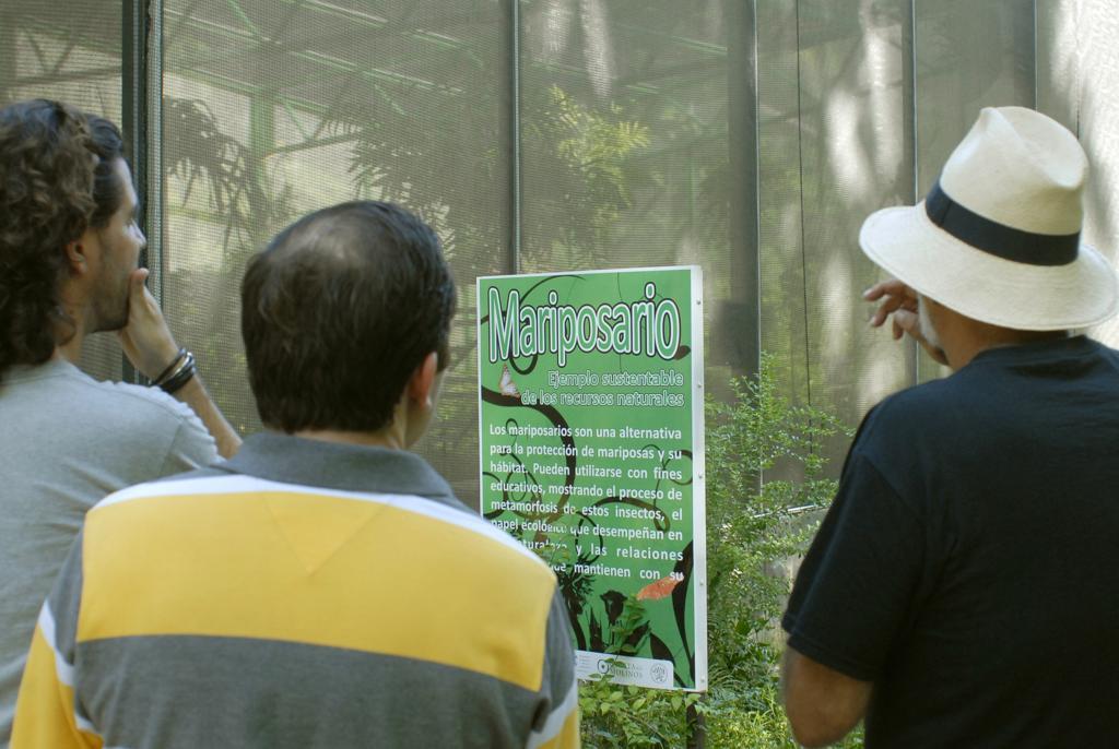 Novedoso y atractivo resulta el mariposario,  inaugurado en junio último y considerado como el primero y único de su tipo en Cuba. | Fotos: Heriberto González Brito