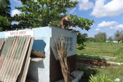 Holguín: ¿En el ocaso los organopónicos?