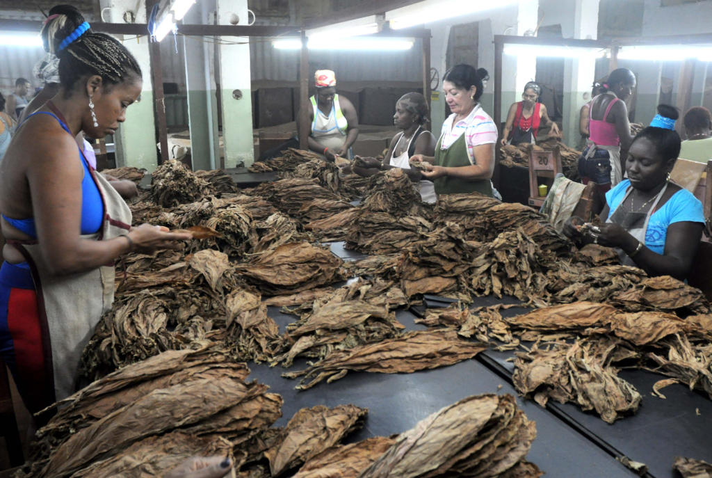 23 de agosto el aniversario 55 de la organización. Foto Roberto Carlos Medina