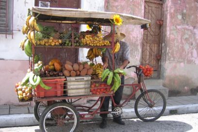 Inspectores e inspecciones