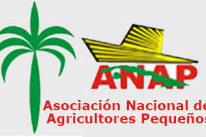 Camagüey: Los incumplimientos bajo la lupa