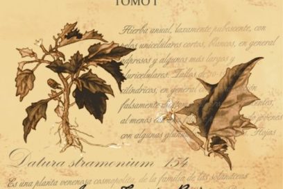 Diccionario botánico cubano