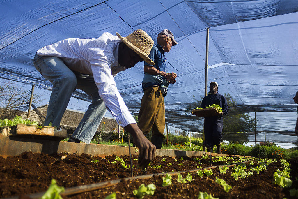 FOTO. Extraída de Internet