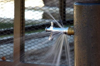 Lo que pudo haber sido