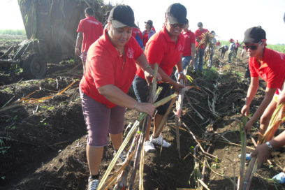 Las muchas vidas de una organización