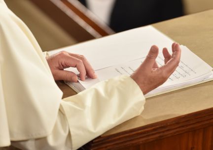 Foto tomada de internet