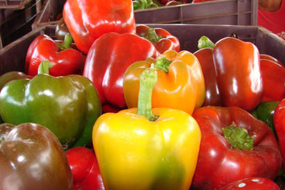 Acortar el viaje de las semillas