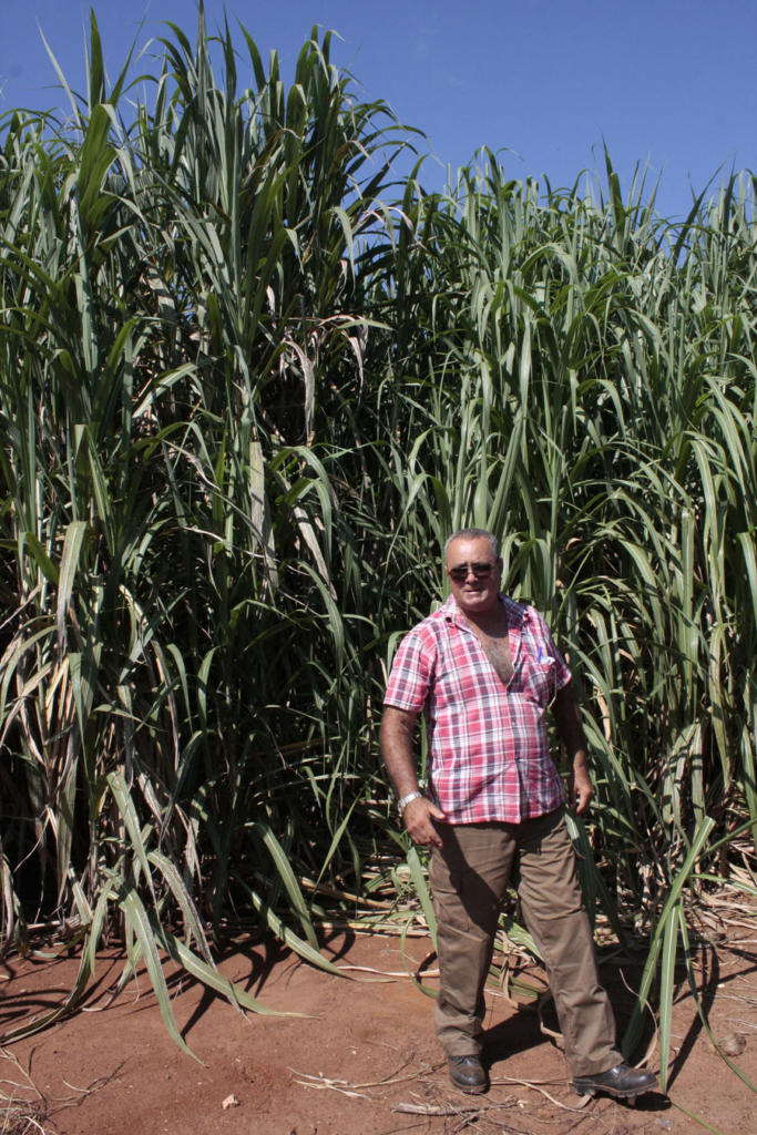 “Resolvemos el 85 % de los problemas en la UBPC, el resto no depende de nosotros. Estamos esperando dos tractores de alta potencia, con dos que pudimos reparar, mejoramos paralograr la independencia de las labores de la maquinaria”, dijo Osmel al borde del cañaveral.
