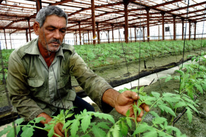 Un emporio sobre piedras