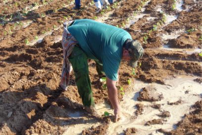 Comienza temprano el camino a las 17 000 hectáreas