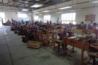 Salario y productividad de la mano en Pinar