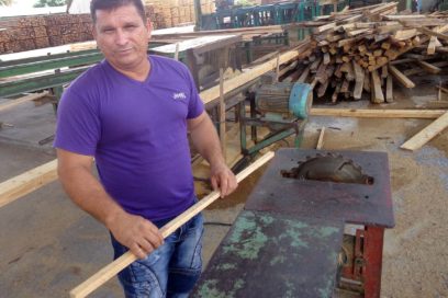 Sobre innovadores en tierra de reyes de la madera