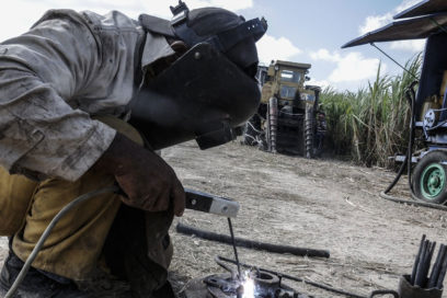 Impondrán sello a cincuentenarios del azúcar
