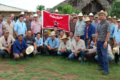 Otorgan condición de Vanguardia Nacional a mejor unidad productora de caña del país