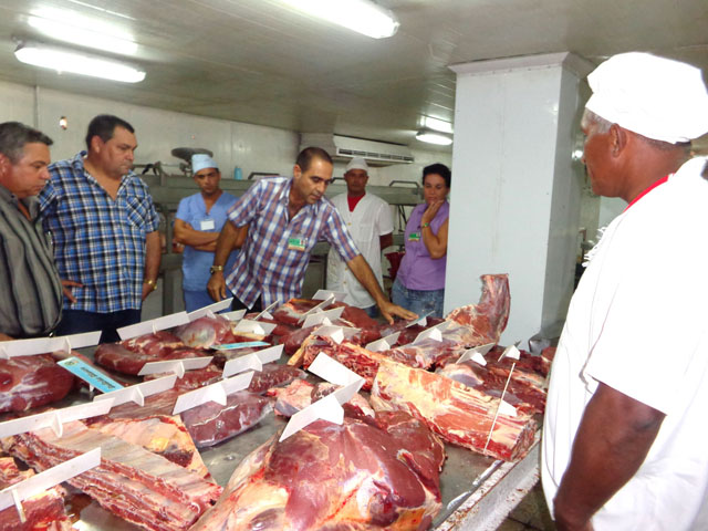 Salarios altos por un significativo respaldo productivo devengan trabajadores del combinado cárnico, de la Empresa Genética Turiguanó. Foto: José Luis Martínez Alejo