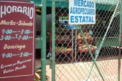 La sequía no agua fiesta, pero…