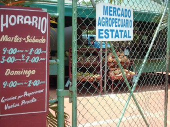 Foto: Hailem D. Carrasco Fuentes