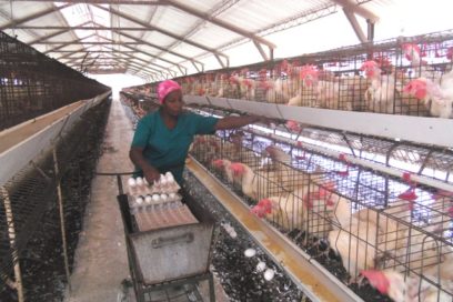 Mirada sindical a la Resolución 17 en Guantánamo