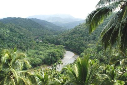 En marcha recuperación del parque nacional Alejandro de Humboldt