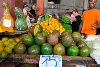 ¿Quién le pone el cascabel al precio?
