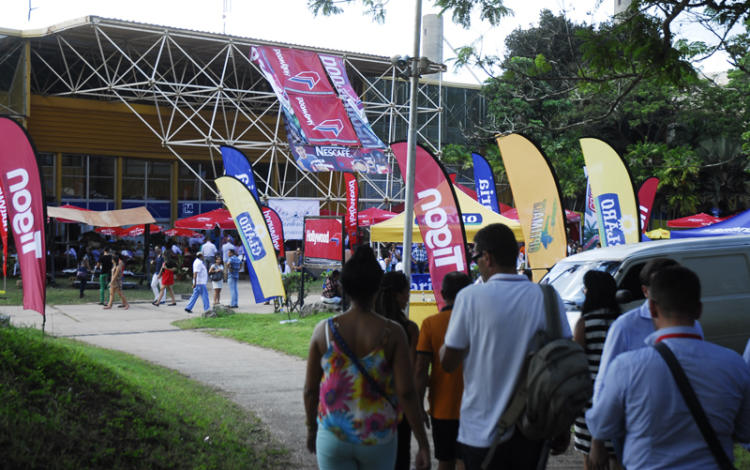 Mucho colorido. Foto: Agustín Borrego Torres