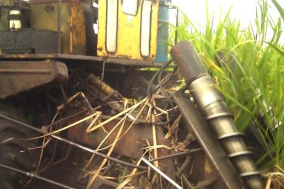 Aceleran preparativos para la zafra en Las Tunas