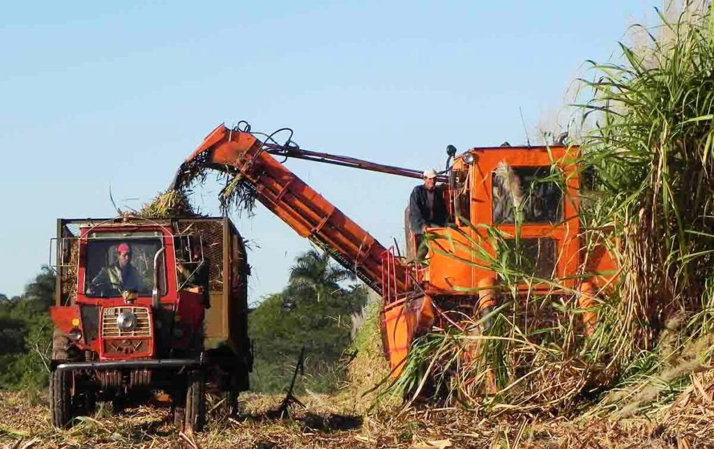 Foto: tomada de internet