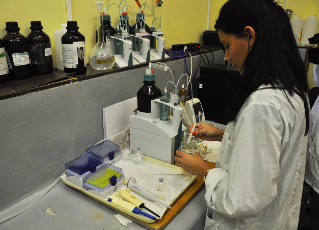 La producción de generadores isotópicos, la elaboración de soluciones radiactivas y la realización de medios de diagnóstico son líneas fundamentales en la labor del CENTIS. Foto: Cristian Domínguez