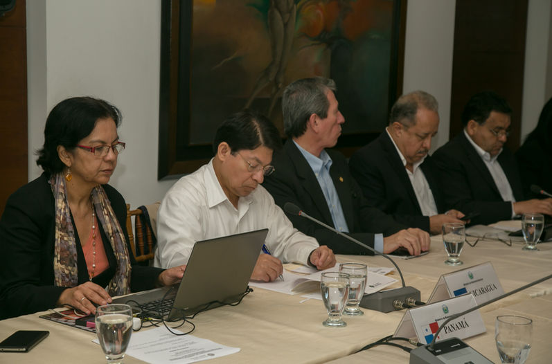 Dennis Moncada, embajador de Nicaragua en la Organización de Estados Americanos (OEA), asistió a la cumbre del SICA representando a su país. Foto tomada de la Nación Nacional