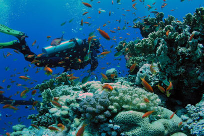 Rubrican Cuba y EE.UU. declaración conjunta en materia medioambiental