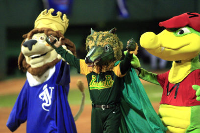 ¿Y las mascotas dónde están?