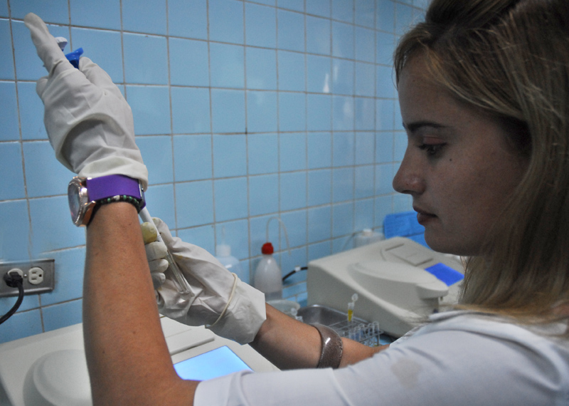 Jóvenes en el oficio Foto: Agustín Borrego