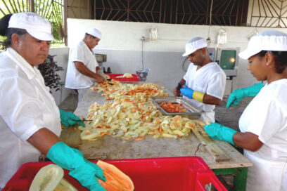 La raíz de un país: el municipio (Separata Economía)