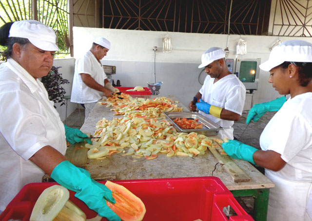 La minindustria El Mambí es el fruto de un proyecto de desarrollo local para diversificar las producciones de alimentos.