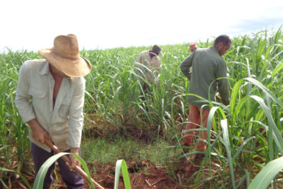 Las Maya tiene menos “huecos”