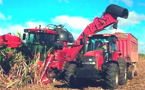 Foto: Tomada del sitio digital Tiempo21