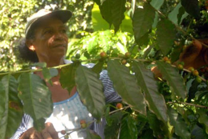 Recalca Machado Ventura urgencia de poner a producir la tierra