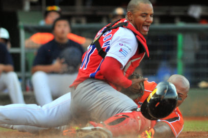 Tigres en acción: velocidad y fuerza