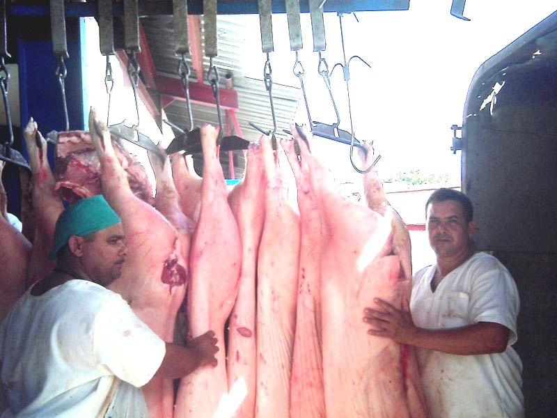 Aunque no satisfacen la demanda, aumenta la presencia de estas carnes en el mercado estatal. Foto: Jorge Pérez Cruz